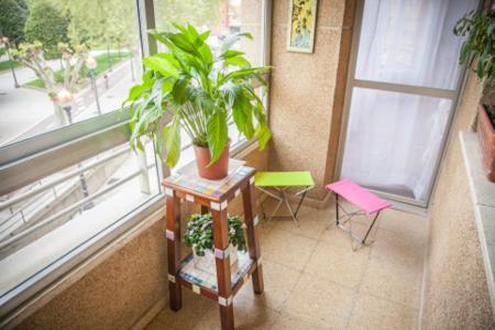 Pension Parque Del Ebro (Adults Only) Logroño Buitenkant foto